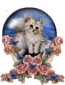 chaton
